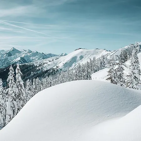 Aurora Mountain By We Rent *