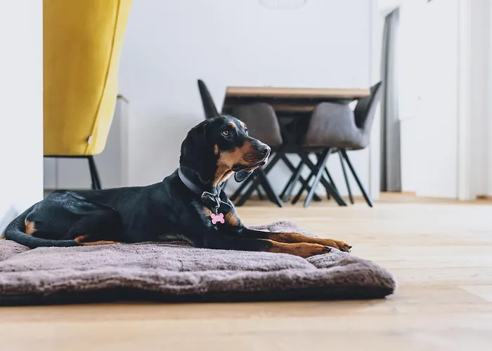 シャレー Aurora Mountain By We Rent